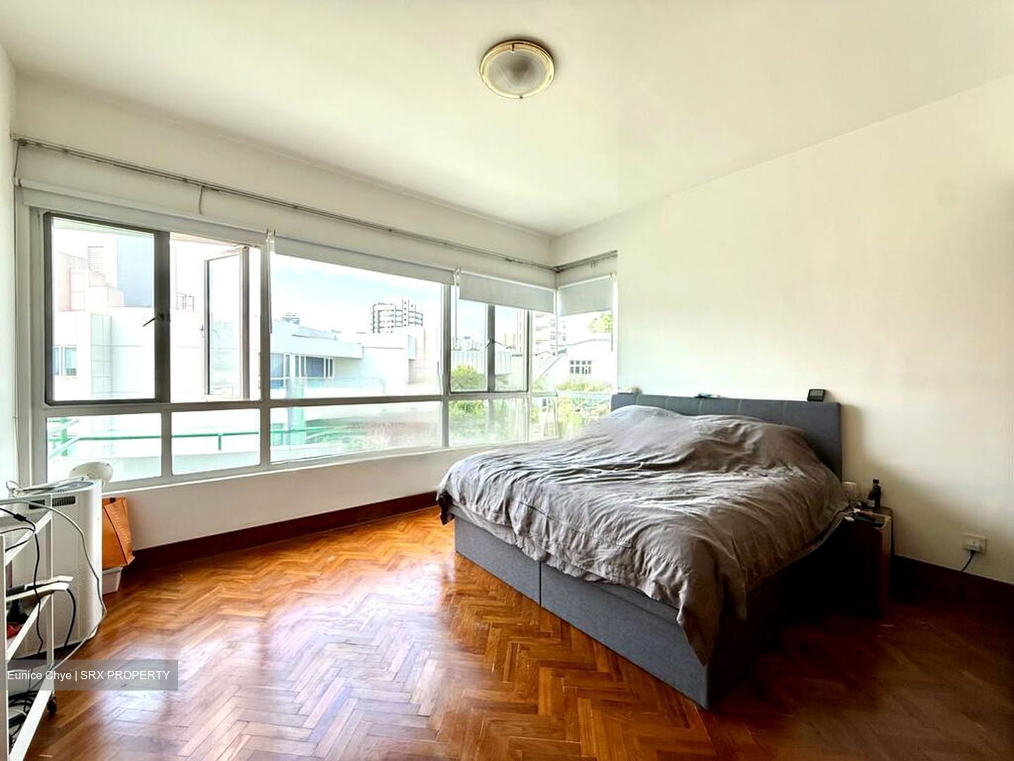 Chancery Park (D11), Condominium #486523691